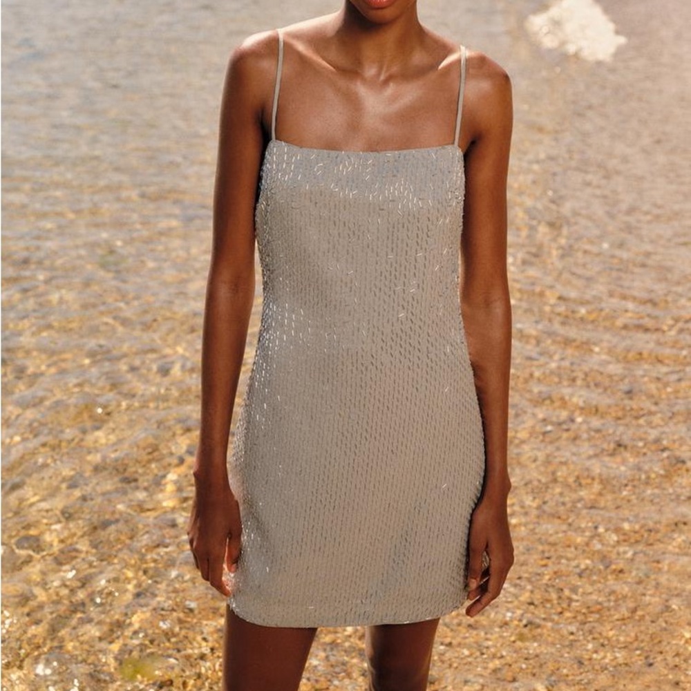 Zara dress